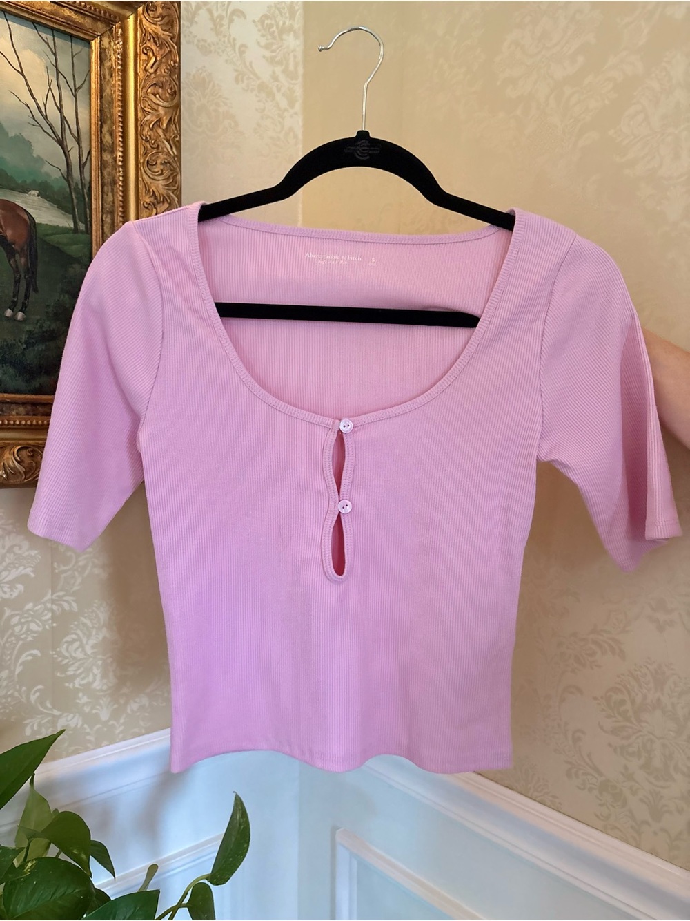 Abercrombie & Fitch Light Pink Ribbed Button-Front Scoop Top